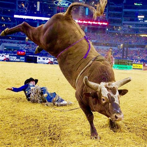 55 best images about PBR WORLD CH. BUSHWACKER on Pinterest | Jordans, In las vegas and Fan in