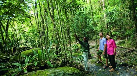 Half Day Rainforest 4WD Adventure | Things to do in Cairns