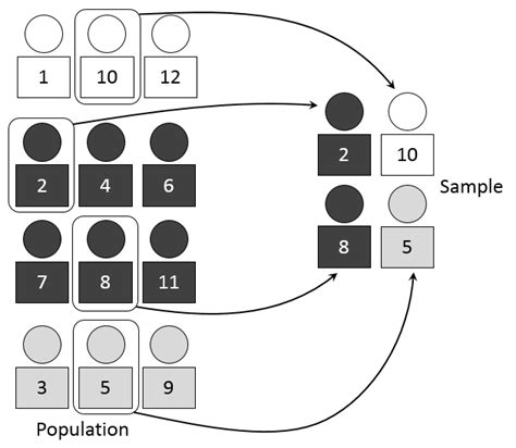 Stratified Sampling: Definition, Advantages & Examples - Statistics By Jim