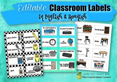 Editable Classroom Labels Brights Classroom Set Mrs Jones Creation - Riset