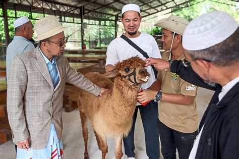 Pahang gears up to attract more Muslim tourists | The Star