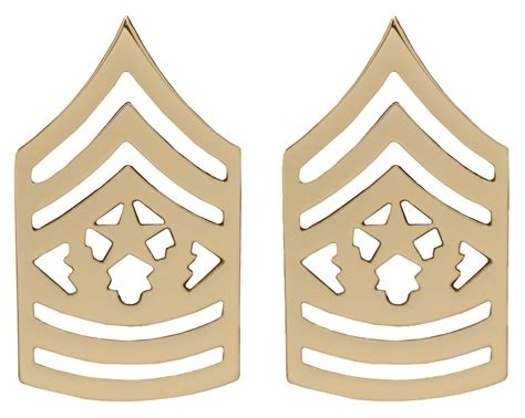 U.S. Army Command Sergeant Major Gold Collar Rank Insignia