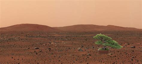 NASA Wants to Send Plant Life to Mars in 2020