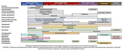 Broad-spectrum antibiotic - Wikipedia