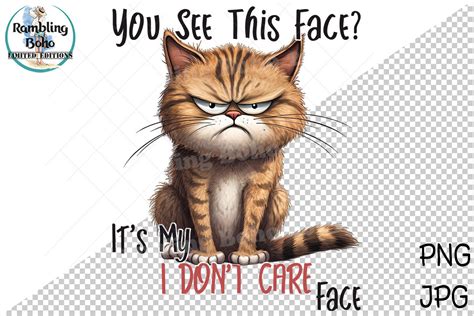 Sarcastic Funny Grumpy Cat I Dont Care Graphic by RamblingBoho ...