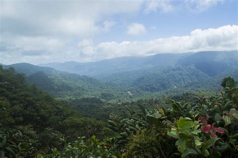 DSC_0775 - Monteverde Cloud Forest Biological Reserve