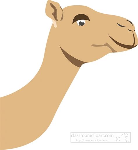 Cartoon Camel Face