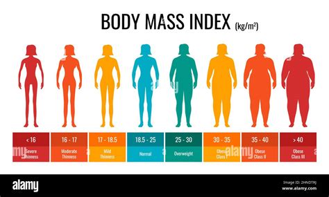 Bmi Classification Chart Measurement Woman Set Female Body Mass Index ...