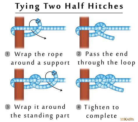 Two half hitches or double half hitch knot in 2020 | Half hitch knot ...