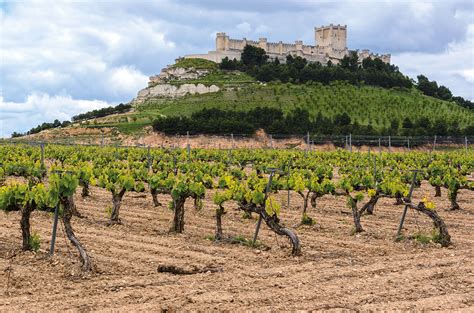 Discover the diversity of Castilla y León - Decanter