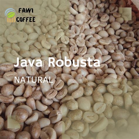 Green Beans Java Robusta Coffee Natural | Inaexport