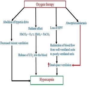 Oxygen-induced hypercapnia: physiological mechanisms and clinical ...