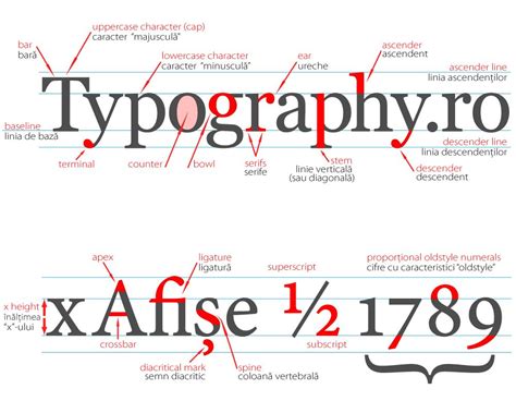 Anatomy Of A Letter - ANATOMY