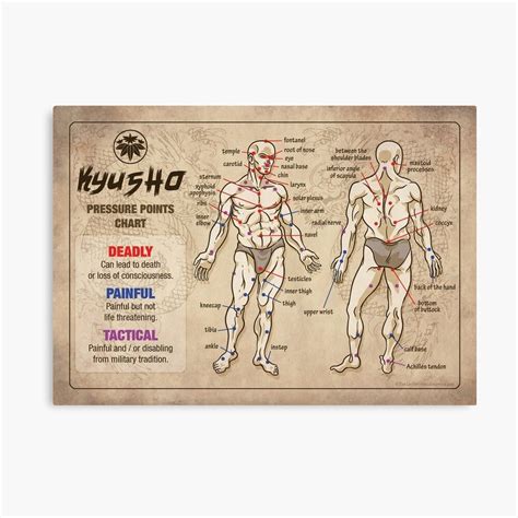 Kyusho Human Body Pressure Points Poster | Body pressure points, Pressure points chart, Pressure ...