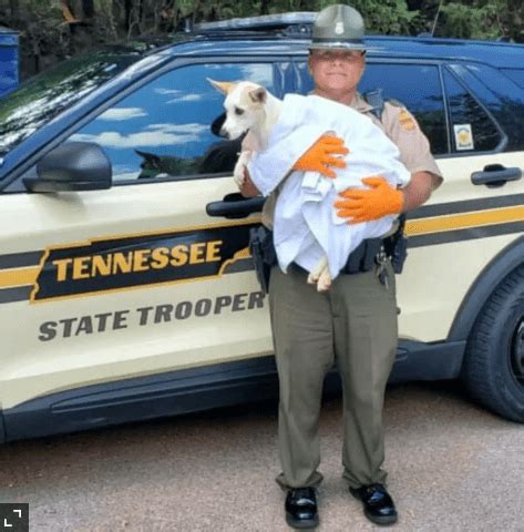 Tennessee Highway Patrol Trooper Adopts Dog He Rescued From Extreme ...