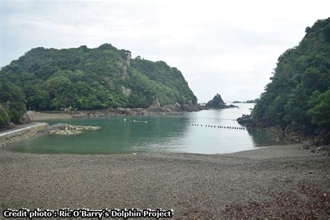 The Cove #taiji #dauphin #ROBdolphinproject #TheCove