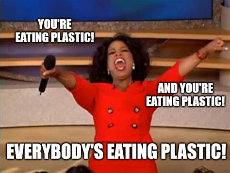 Meet Mary Krupa, Plastic Pollution Meme-Maker Master! — Beyond Plastics - Working To End Single ...