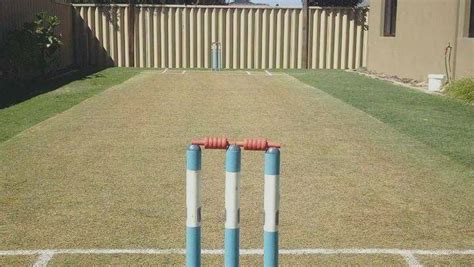 27 Best Photos Backyard Cricket Pitch : Backyard Cricket 2g Flicx Pitch Blog | watchhondaheremgl