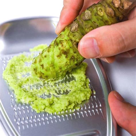 Wasabi 101 (Incl. How to Grate Wasabi Root) - Sudachi Recipes