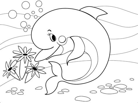 470 Cute Dolphin Coloring Pages Printable Latest Free - Coloring Pages ...