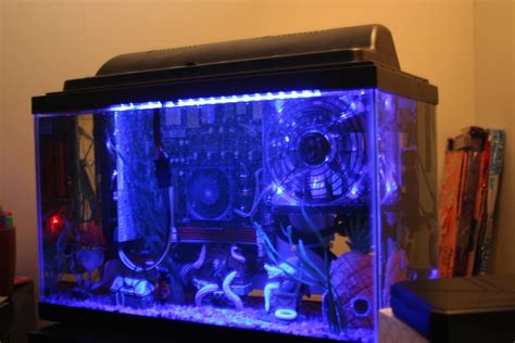 Gaming computer submerged in mineral oil | Gamer setup, Mineral oil pc, Gamers anime