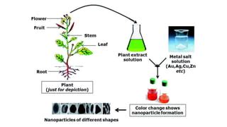 green synthesis.pptx