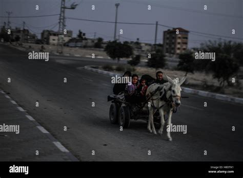 Khan Yunis, Gaza Strip, Occupied Palestinian Territory. 11th Nov, 2016 ...