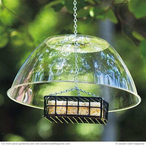 a bird feeder hanging from a tree branch