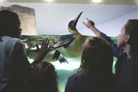 KANSAS CITY ZOO AND AQUARIUM | Visit KC