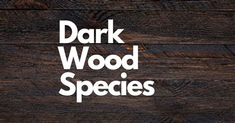 Dark Wood Species | Properties, Pros and Cons – Timber Blogger