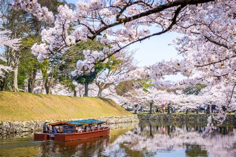 Hikone Castle - GaijinPot Travel