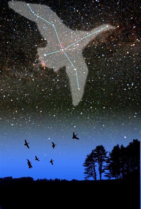 Cygnus The Swan by Larry Landolfi on 500px | Constellations, Cygnus constellation, Stargazing