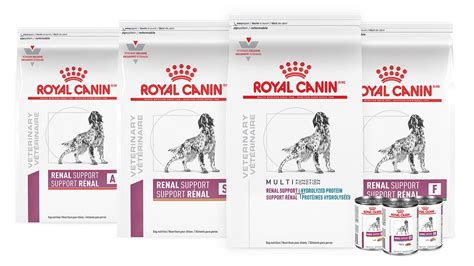 Dog food for Renal Support | Royal Canin US