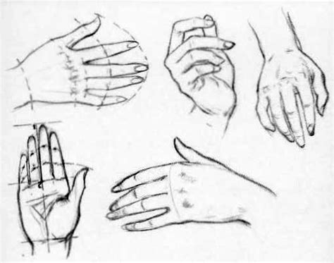 How to Draw Hands - Reference Sheets and Guides to Drawing Hands - How ...