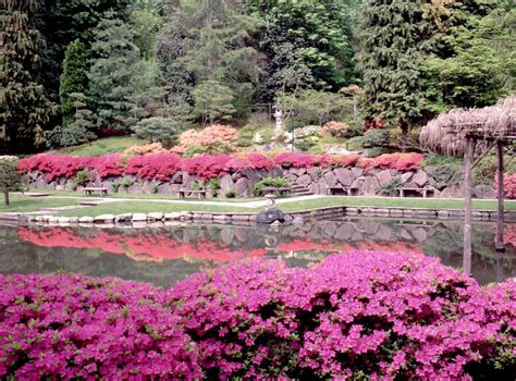 Japanese Garden Design Pictures | Native Garden Design