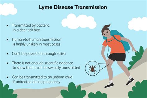 Is Lyme Disease Contagious?