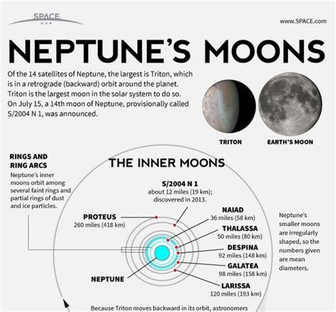 Neptune's moons | Moons of neptune, Neptune, Solar system