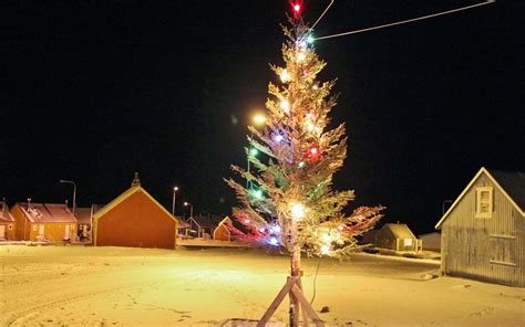 Christmas tree to Ittoqqortoormiit | Iceland christmas, Tours in iceland, Christmas tree