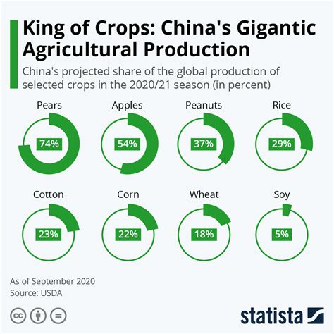 Chart: King of Crops: China’s Gigantic Agricultural Production | Statista