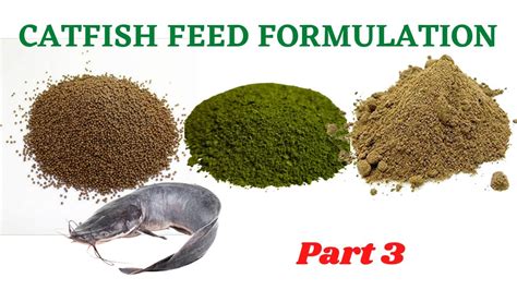 Catfish Feed Formulation: Help Your Fishes Grow Fast - YouTube