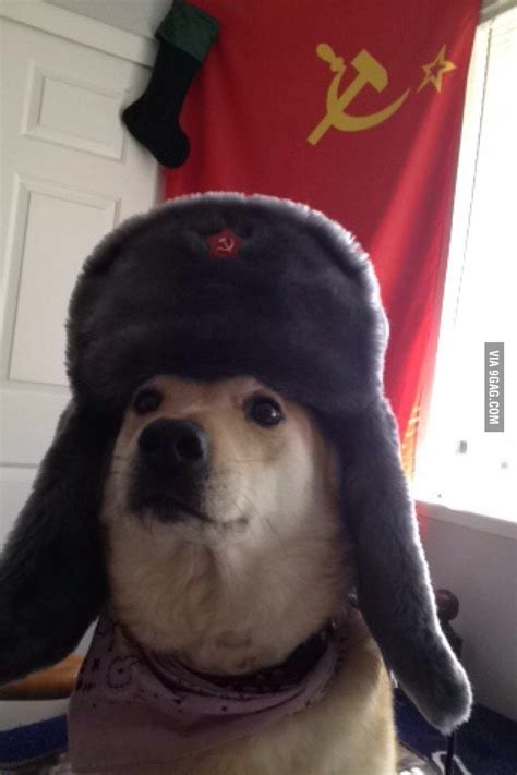 The Bolshevik dog: You won a ticket to the gulag, comrade. - 9GAG