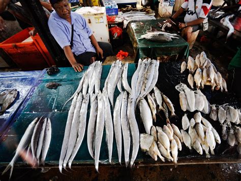 Menelusuri Pasar Ikan Hamadi - Indonesia Kaya