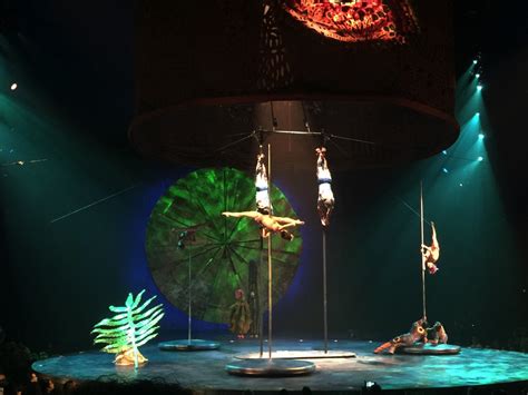 13 Reasons You Should Not Miss Cirque du Soleil LUZIA