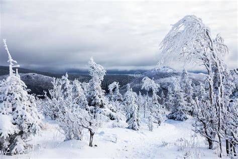 Winter Landscape from Top of Mountain in Canada, Quebec Stock Image ...