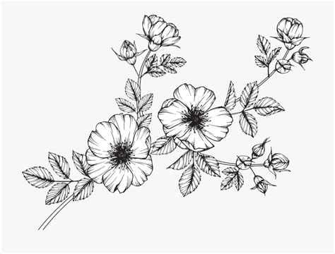 wildflowers clipart black and white 10 free Cliparts | Download images on Clipground 2024