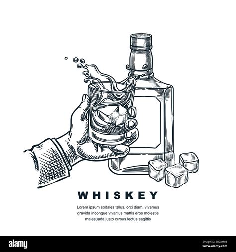 Man hand with scotch whiskey or bourbon glass. Vector hand drawn ...