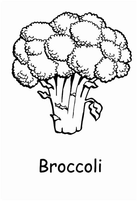 Broccoli Coloring Pages - Best Coloring Pages For Kids | Vegetable coloring pages, Fruit ...