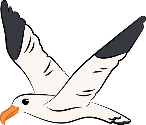 Seagull Clipart Black And White