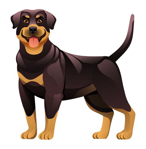 Rottweiler dog vector cartoon illustration 18778911 Vector Art at Vecteezy