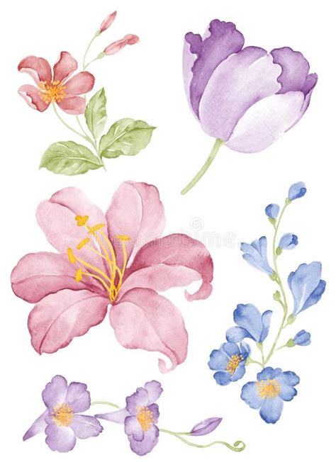 Watercolor illustration flower vector illustration | Flower illustration, Watercolor ...